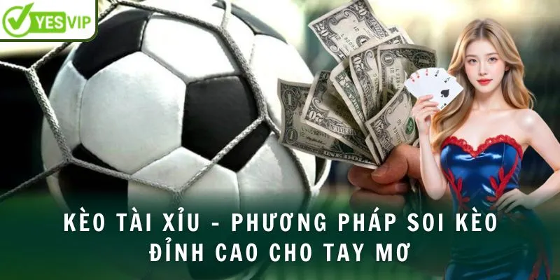 keo-tai-xiu-phuong-phap-soi-keo-dinh-cao-cho-tay-mo-avt